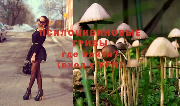 ешки Осташков
