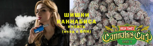тгк Осинники