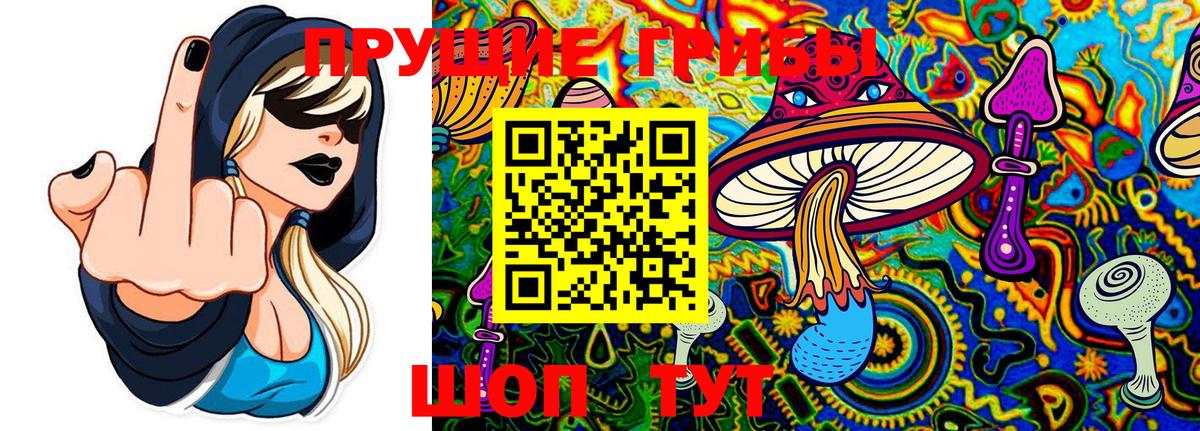 Галлюциногенные грибы Magic Shrooms  Галлюциногенные грибы Magic Shrooms  Стрежевой  Вход с VPN 