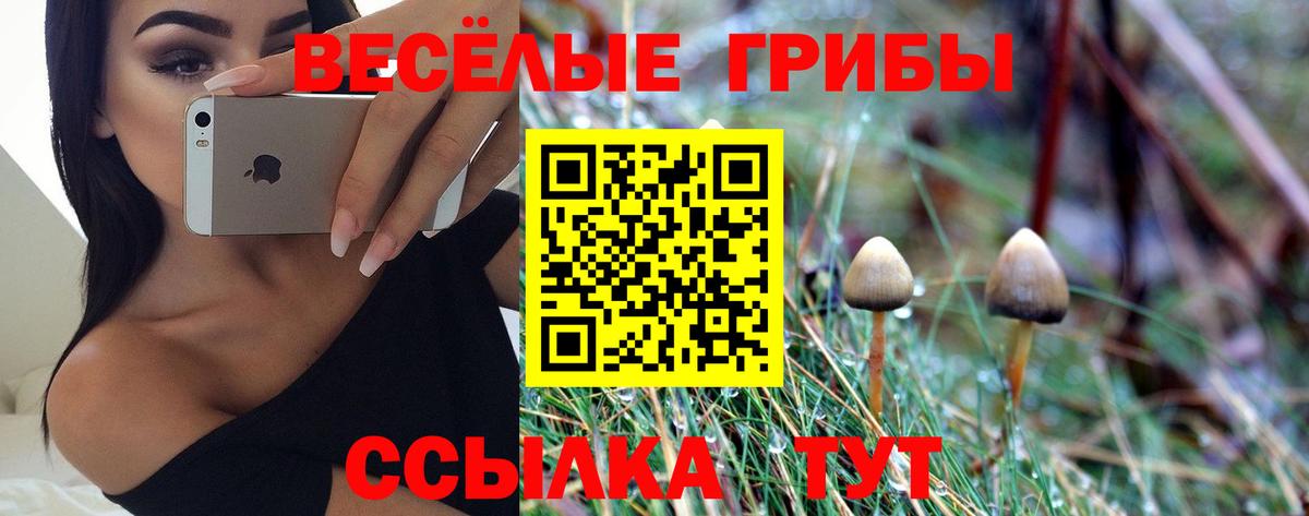 Галлюциногенные грибы Psilocybine cubensis Стрежевой